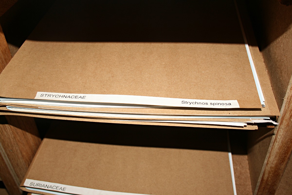 Folders containing specimens
