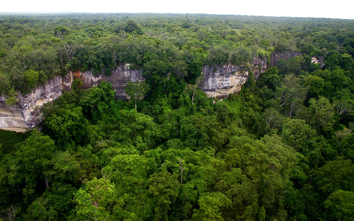 Densely forested limestone gorges along the eastern Cheringoma escarpment.