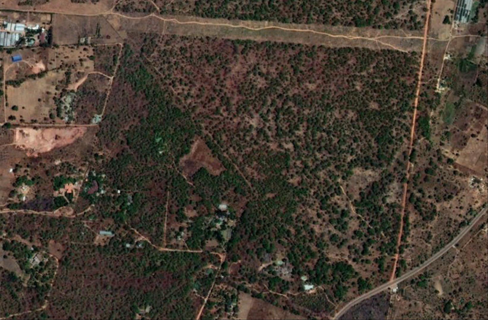 Google-Earth picture: The cleared strip at the top of the image is the ZESCO powerline clearing