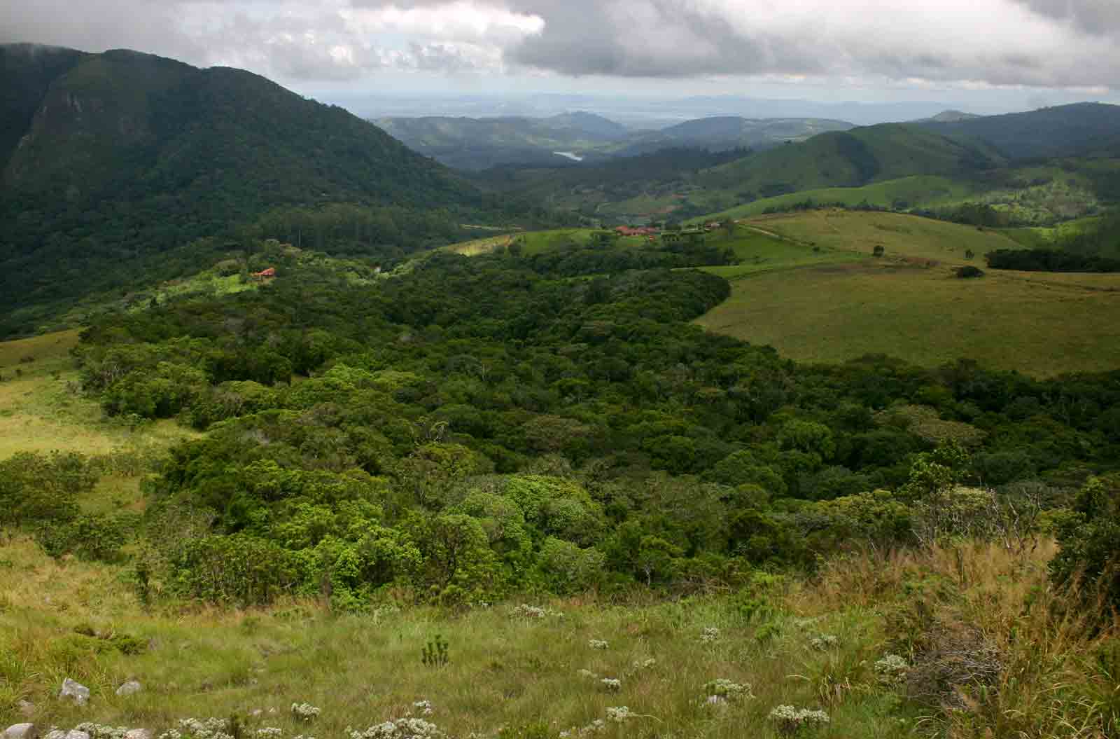 View of the Cloudlands' Forest taken from the summit of Chinziwa. 