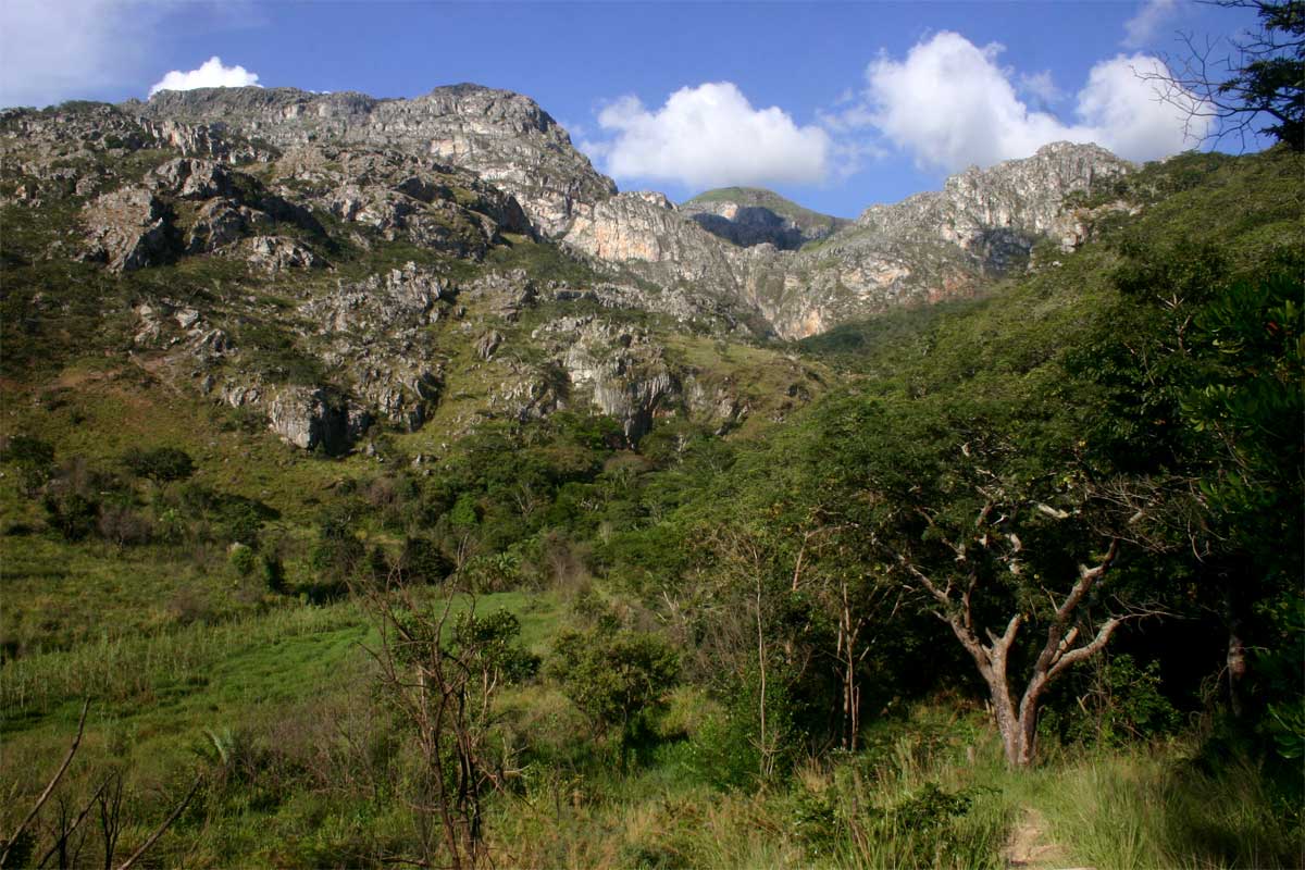 View towards the Chimanimani Mts from the path to Tessa's Pool