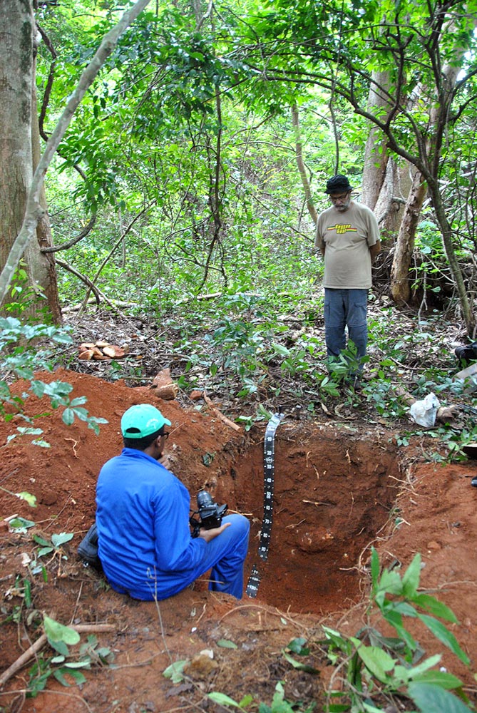 Studying a soil profile pit in Zomba forest