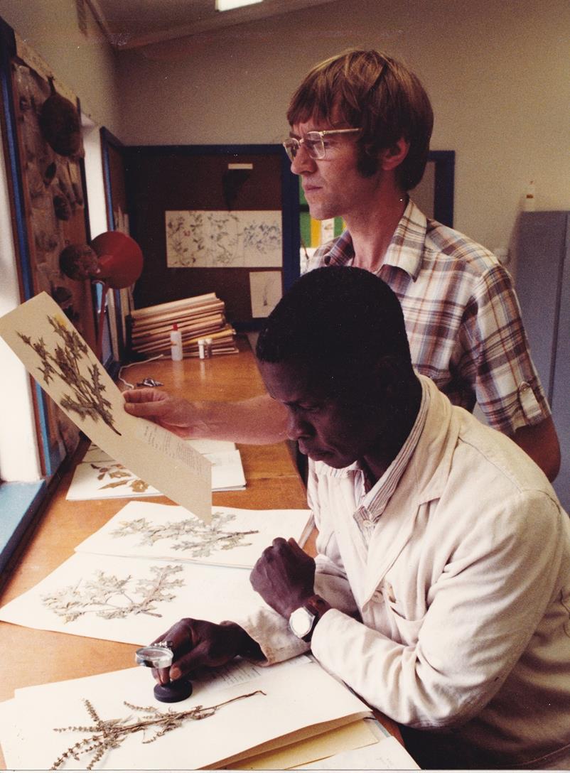 On the job' in the Mt Makulu herbarium, in 1983. My assistant was Francis Lupia who came to acquire a good knowledge of plants as he prepared the herbarium specimens