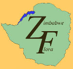 Zimbabwe flora logo